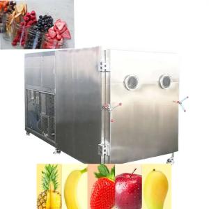 China Industry Vacuum Freeze Dryer Machine Strawberry Fruit And Vegetable 120Kw 25kg / Batch factory