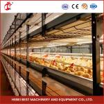 20,000 Birds Easy Operate Full Automatic Broiler Cage System For Chicken Farm