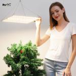 225 LED Beads 8000lm 600W 1200W 2000W Plant Growth Light for Greenhouse
