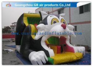 China Black Cat Big Water Slides , Commercial Water Slides For Backyard Kids Sliding factory