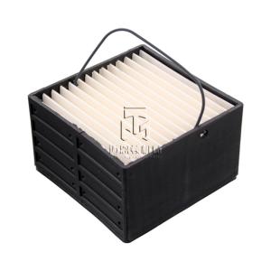 China Filter element 01319822 04297812 04900061 14514238 21018746 0131 9822 0429 7812 0490 0061 1319822 4297812 4900061 USE IN DEUTZ BFM2012 BFM1013 engine factory