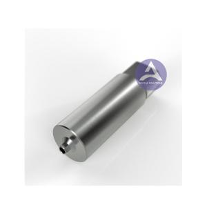 China MIS Seven® Internal Titanium Premill Blank Abutment Yenadent Holder 10mm Engaging factory