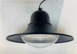 Aluminum Tear Shape Cover Retrofit Modular CRI80 80W LED Garden Light Fixtures