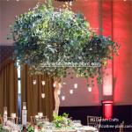 Solid Eucalyptus Leaves Artificial Evergreen Trees Wooden Box Packing