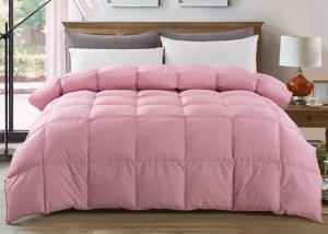 China Five Star Hotel 95% 280g/M2 King Size Goose Down Quilt factory
