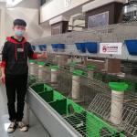 Hot Dipped Galvanized Meat Rabbit Battery Poultry Cage Commercial Rabbit Farm