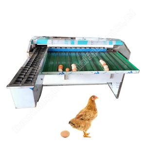 Chicken Egg Sorting Machine Automatic Egg Sorting Machine 4000-10000 Pcs