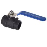 SS304 316 316L 1000WOG WCB High Pressure Ball Valve with Cylindrical Head Q11F