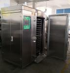 400kg/Hour Nitrogen Blast Stand Up Deep Freezer 3 Kw IQF