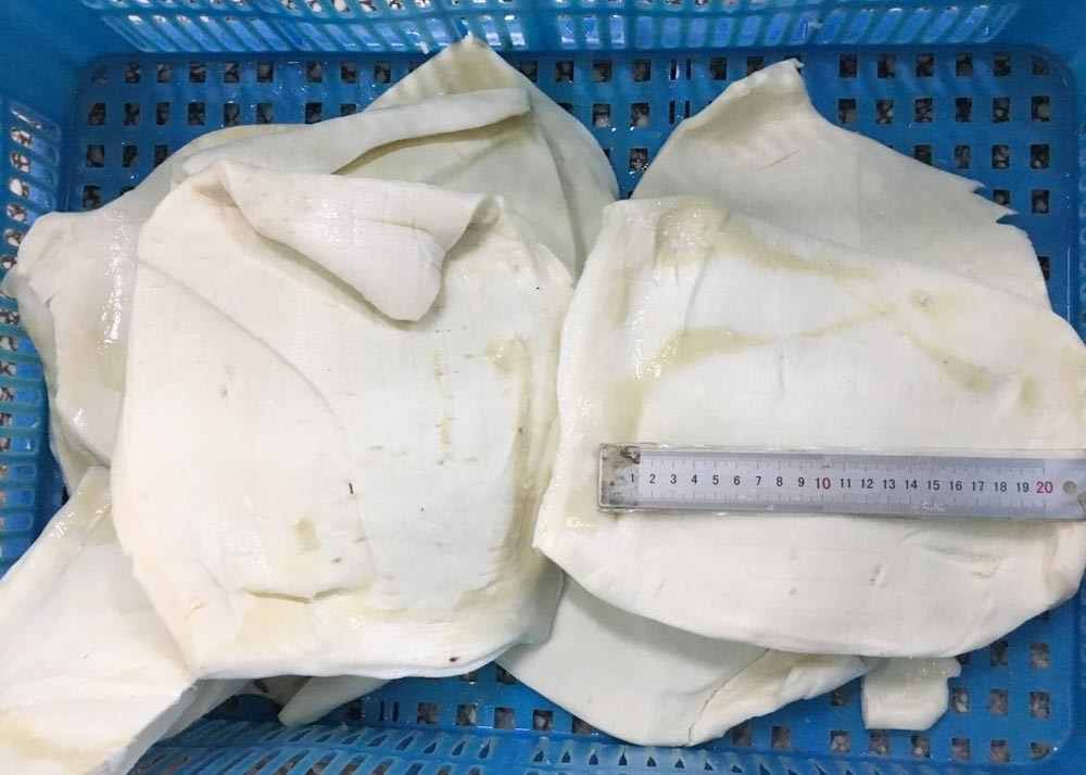 Fillet Bqf Peru Squid Darumar Thickness 6-12mm