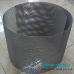 Titanium Expanded Mesh, Without Toxic, Used for Living Organisms