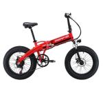 Aluminum 350W 36V 20 Inch Fat Tyre Folding Electric Bike