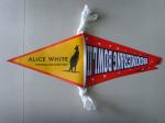 Polyester Bunting Triangle Pennant Banner Small Size Installed At Heavy Duty