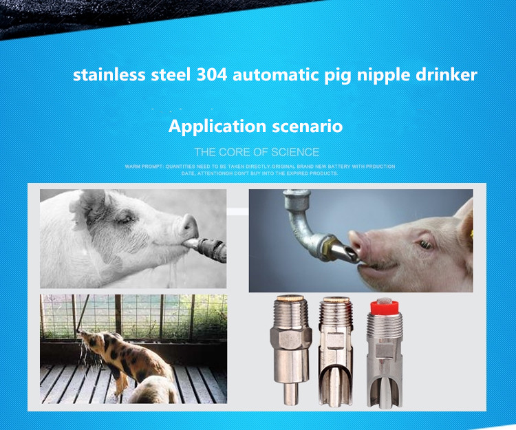 Pigs Stainless Steel Nipple Drinker For Water Supply