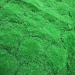 Indoor Cloth Artificial Moss Mat 100*100cm Landscape Fake Green Grass Wall