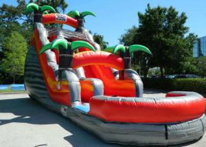 China Colorful Backyard Tropical Inflatable Water Slide With 5 Years Warranty factory