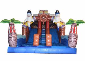 China Pirate Themed Dolphins Commercial Inflatable Water Slides For Rental In Amusement Park Inflatable Pirate Dry Slide factory