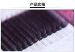 Gradual Purple Colored Eyelash Extensions Synthetic Hair 12 Lines / Tray Volume