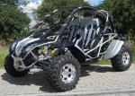 CF Motor Go Kart Adult Double Seat Go Kart 500cc 800cc 1100cc With Spare Parts