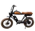 20 Inch Fat Tire 73 Style Ebike 7 Speed Electric Mountain Bike 48V 500W 750W