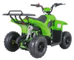 110cc Sport 4 Wheeler Chain Drive Youth Racing ATV