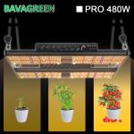 IP20 Bavagreen 480W LED Grow Light Red IR Indoor Horticulture Lighting