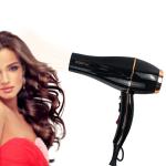 Antifrizz Multiscene Salon Quality Blow Dryer 220 Volt Reusable Adjustable Speed