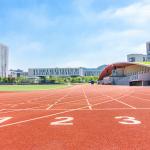 No Slip EPDM Rubber Athletic Track Anti Fatigue Synthetic Playground