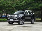 Black 7 Seater SUV Tank OEM Medium Large Business Version Petrol Hybrid SUV