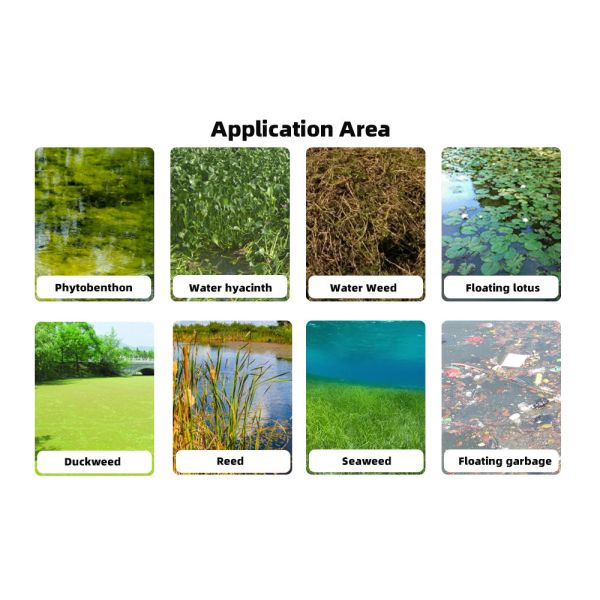 Automatic Operation Aquatic Weed Harvester with 24 Hour Continuous Working and 4 Layers Anti-Rust Marine Paint