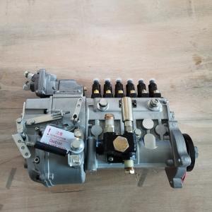 China High Pressure Fuel Injection Pumps CP61Z P61Z651 B For Shangchai Engine Repair factory