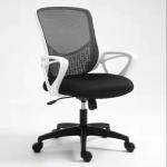 Experience Comfort Efficiency with ALINUNU Modern Mesh Lift Chair Revolving
