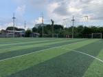 40mm Height Football Artificial Turf Carpet Floor Soccer Grass Field Green