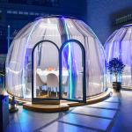 UV Resistance Clear Bubble Tents Green Diameter 3.5m Outdoor Bubble Dome