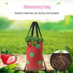 Strawberry Grow Bags, No Gauze Growing Bag, Hole Upside Down Planter Handling