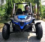 6000rpm GY6 Engine 2.64 Gal Gas Utility Vehicles