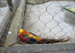 Knotted And Ferruled Type Stainelss Steel Wire Rope Aviary Wire Mesh Zoo Project