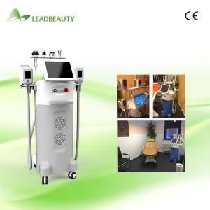 China 12 inch touch screen fat freezing cryolipolysis slimming machine for whole body factory