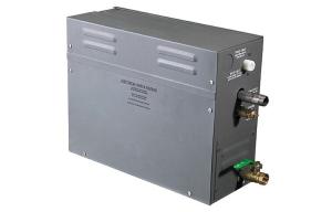 China Wall-Mount Control Panel Economic Steam Generator with Stainless steel water tank factory