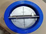 Cast Ductile Iron Water Valve Wafer Duo Plate Double Disc Check Valves