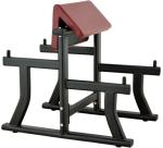 Wholesale Hot Sale High Quality Arm Curl Bench Gym Equipment Biceps Curl