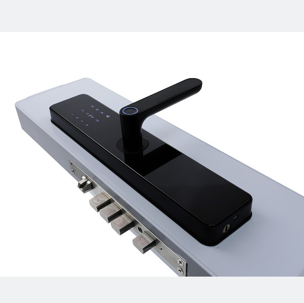 Chinese Smart Door Lock Electric With Touch Screen 2 Years Warranty
