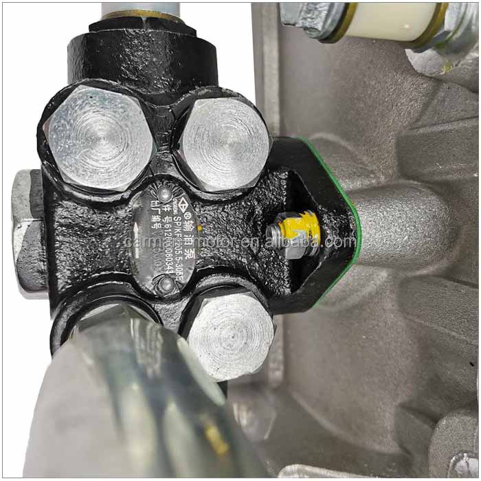 Fuel Injection Pump for WEICHAI WD618.375Q Engine Fuel System Performance Boost