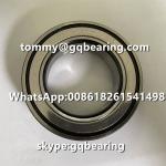 Gcr15 steel material INA F-555102.01 Single Row Deep Groove Ball Bearing