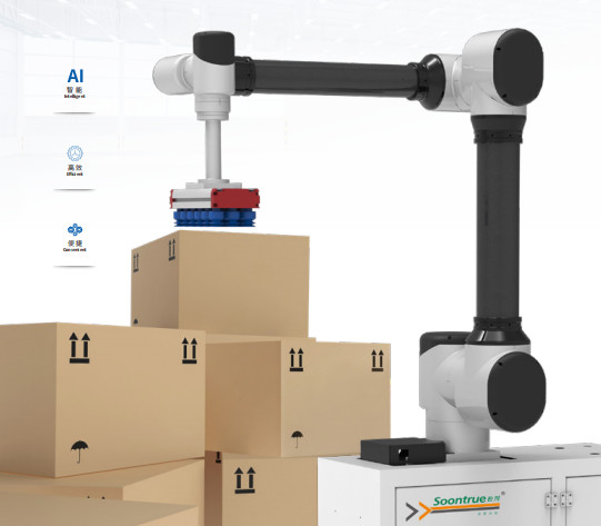 Advanced Automated Palletizing Solutions for Manufacturing Maximum Stacking Height 2500mm
