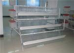 Low Carbon Steel Wire Kenya 96 Birds Layer Chicken Battery Cages For Poultry