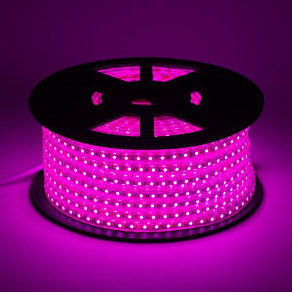 Epistar Chip SMD 2835 LED Strip 12V 12W/M Lamp Power 120° Beam Angle Long