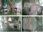 Maize / Corn / Wheat Flour Grinding Production Line , Grain Flour Milling