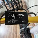 48V 500W Power Electric Bike For Exercise Balance And Retro Vintage Ebike