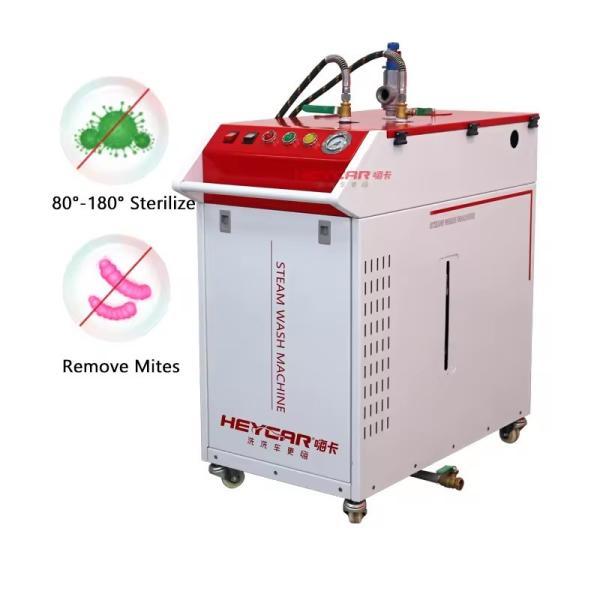 Innovation Household Steam Cleaner with Customized 220v 380v Voltage and Steam
